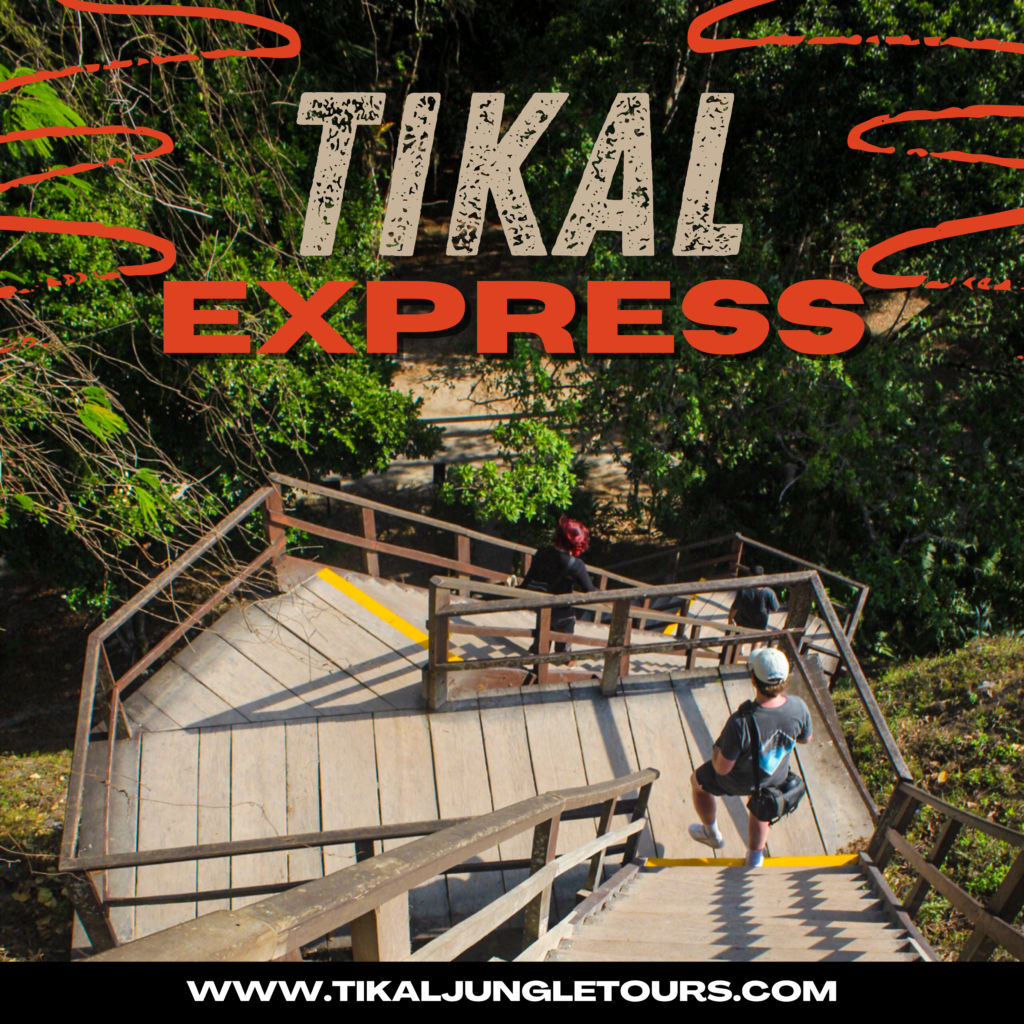 tikal express flyer